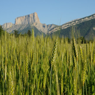 La ferme Gabert